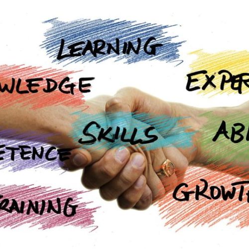 Quelles compétences développer pour réussir en tant qu’entrepreneur ?